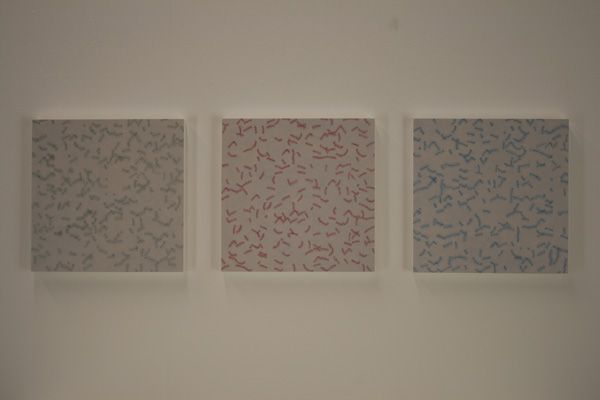 The formation of stars-spectral